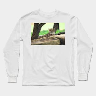 Cheetah On The Rocks Long Sleeve T-Shirt